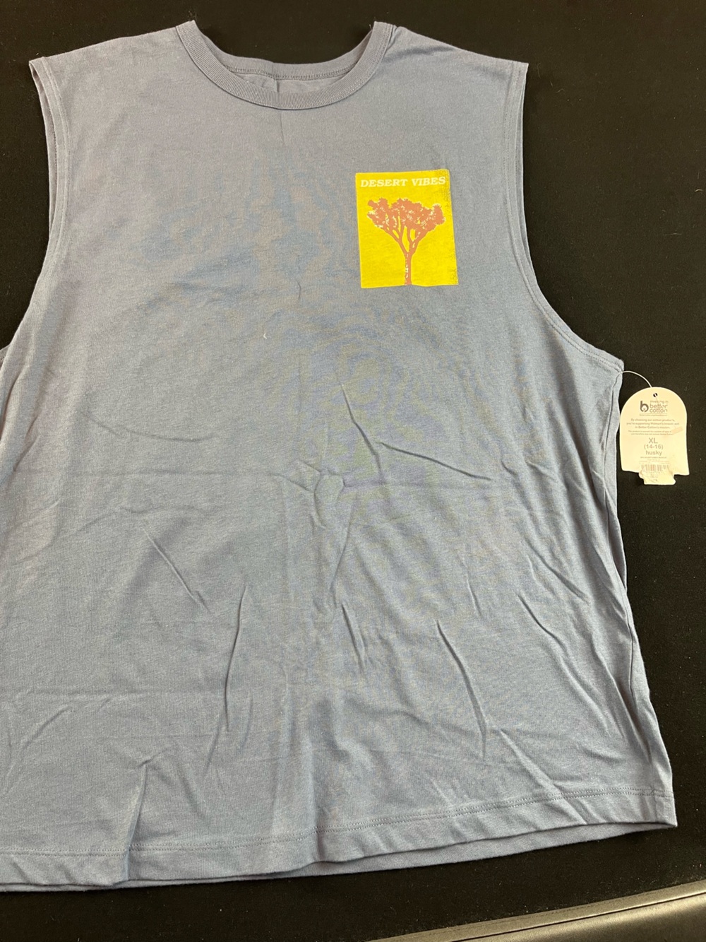 Desert Vibes Gray Sleeveless Tank Top